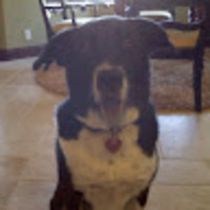 Meet your Posher, Evan